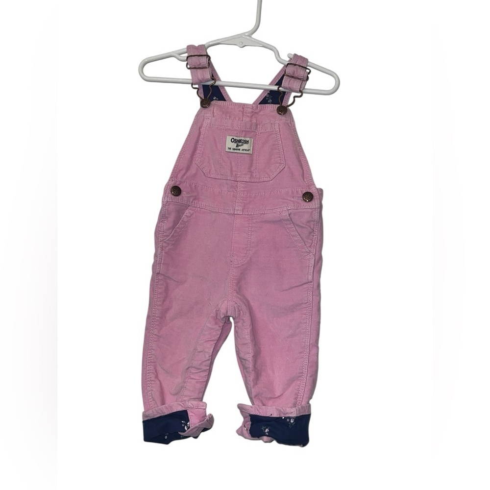 OshKosh B'gosh Pink velvet Overalls blue floral lining sz 12m